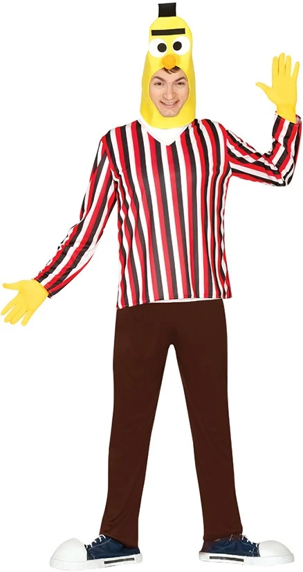 Overig Herenkostuum Bert (Sesamstraat)