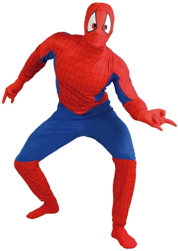 Overig Herenkostuum Spiderman